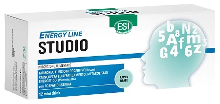 ESI ENERGY LINE STUDIO 12MINI